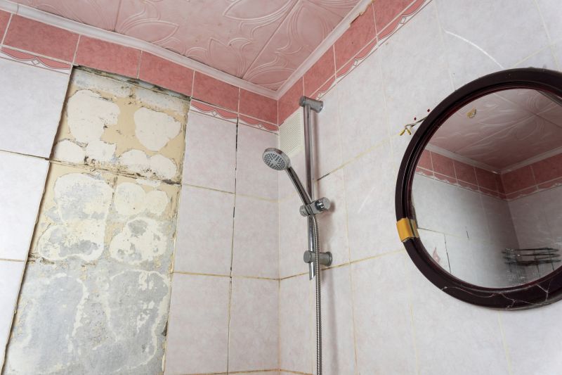 Top Shower Remodeling Companies in Londonderry, NH